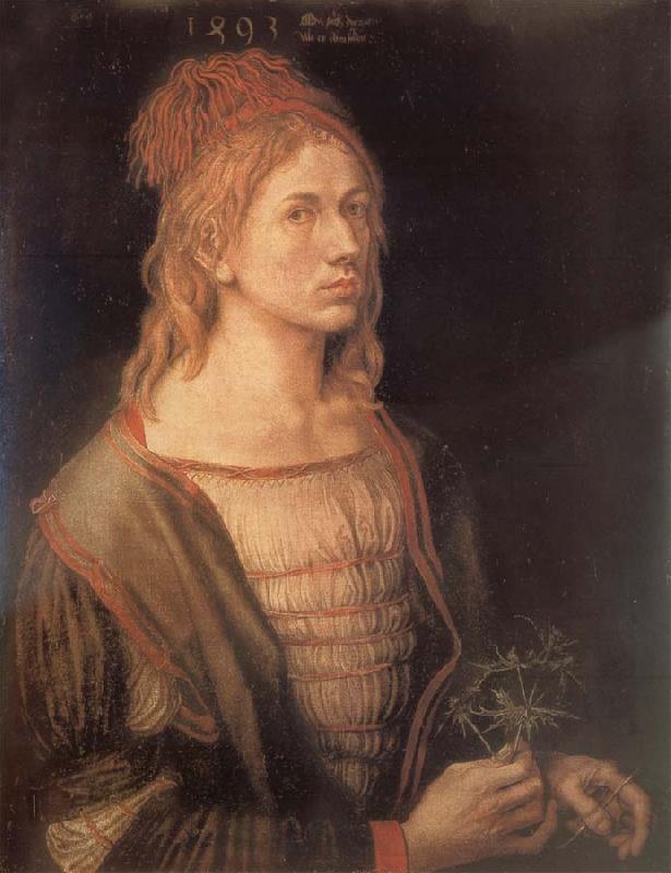 Albrecht Durer Self-Portrait with sea holly China oil painting art